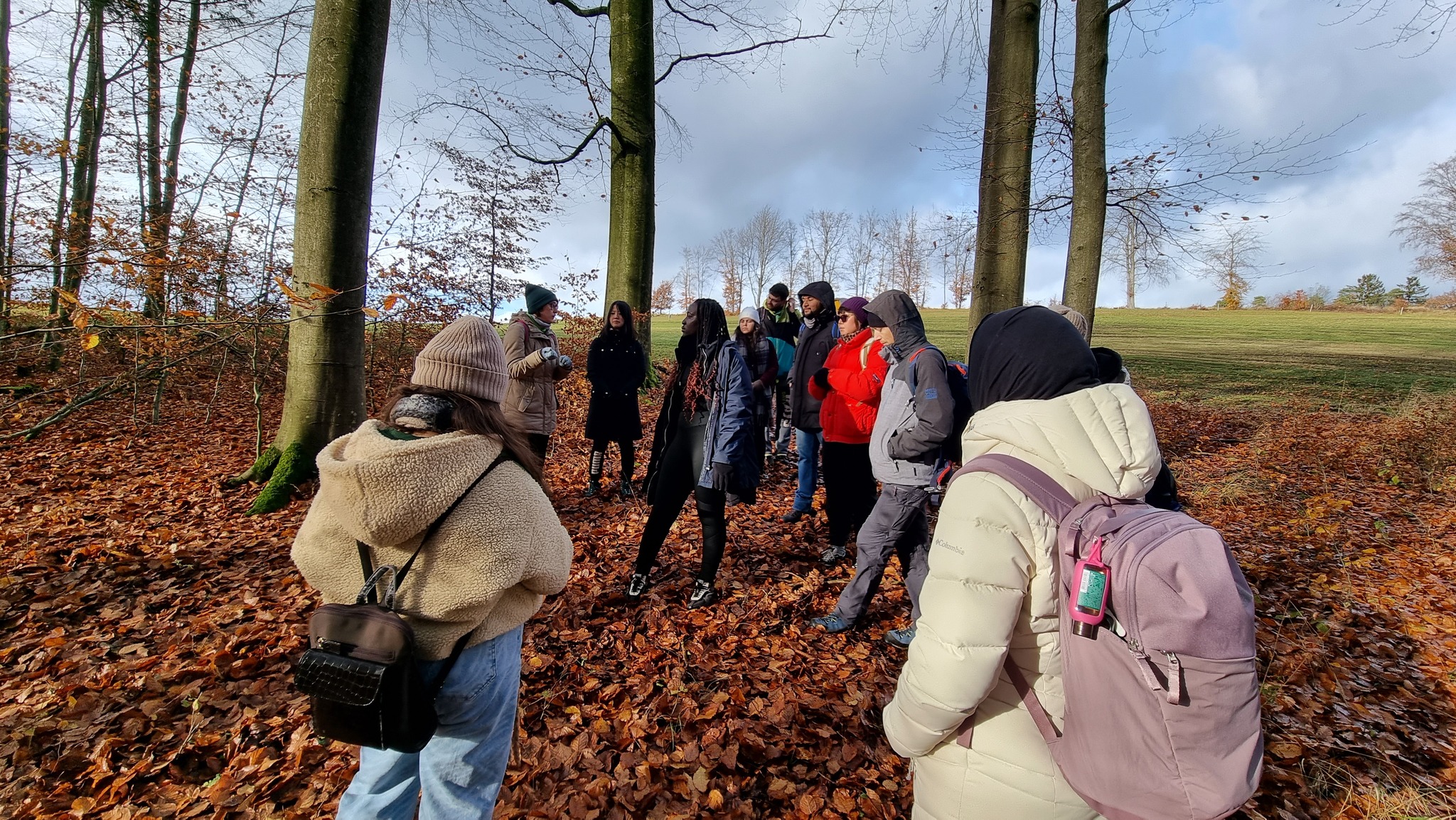 Local Activities – European Youth Voices — photo 1