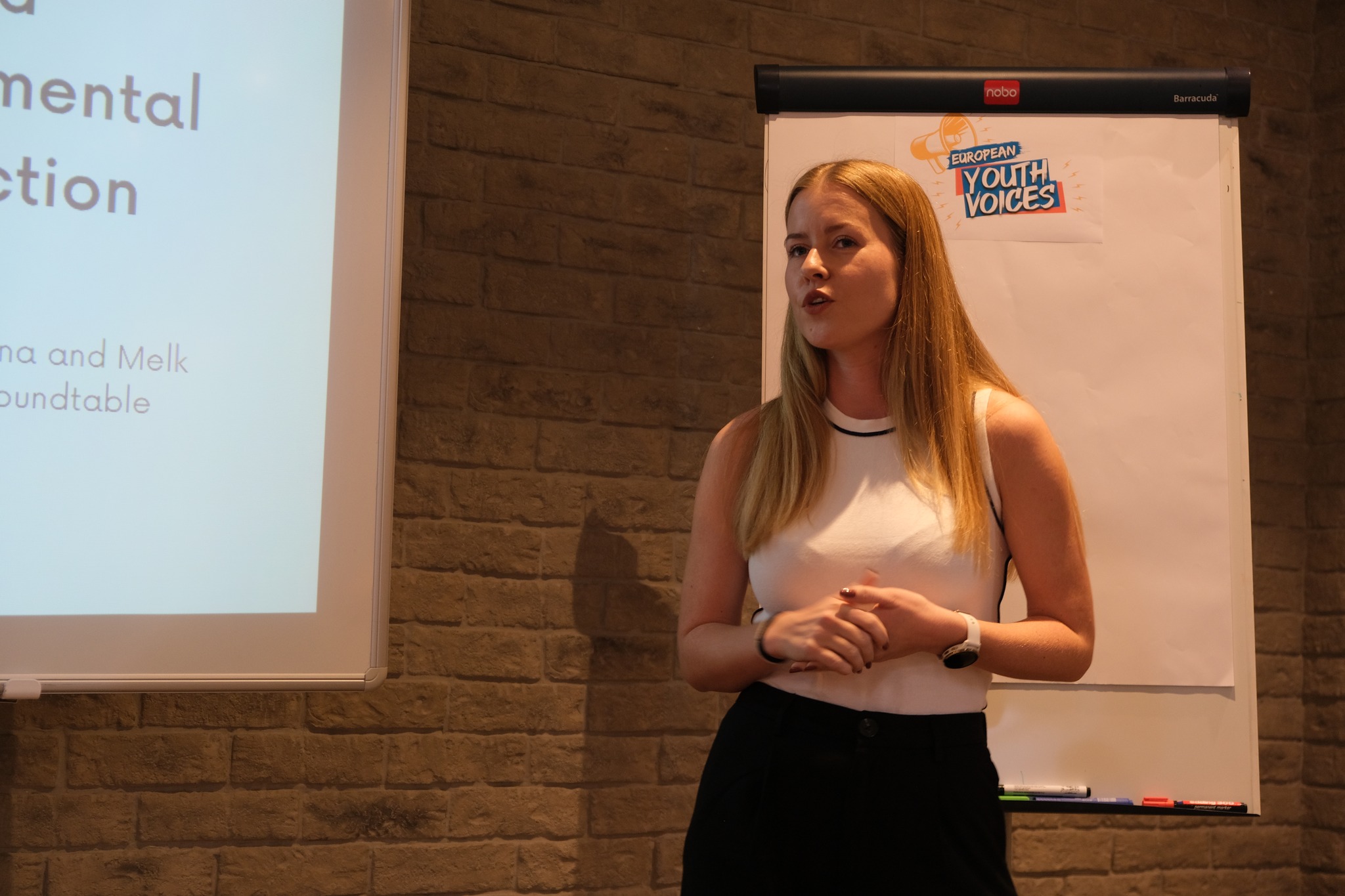 European Youth Voices – Final Event — photo 3